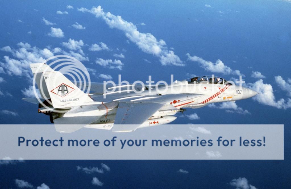 F&V: Grumman F-14 Tomcat - Página 5 F-14A_Tomcat_VF-102_in_flight_1982