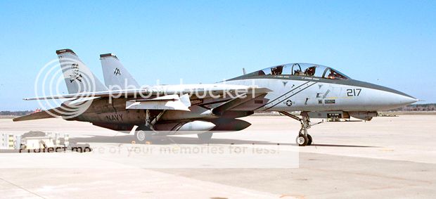 F&V: Grumman F-14 Tomcat - Página 6 1995