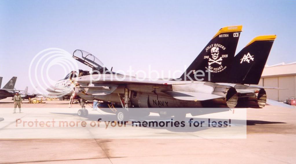 F&V: Grumman F-14 Tomcat - Página 6 2003