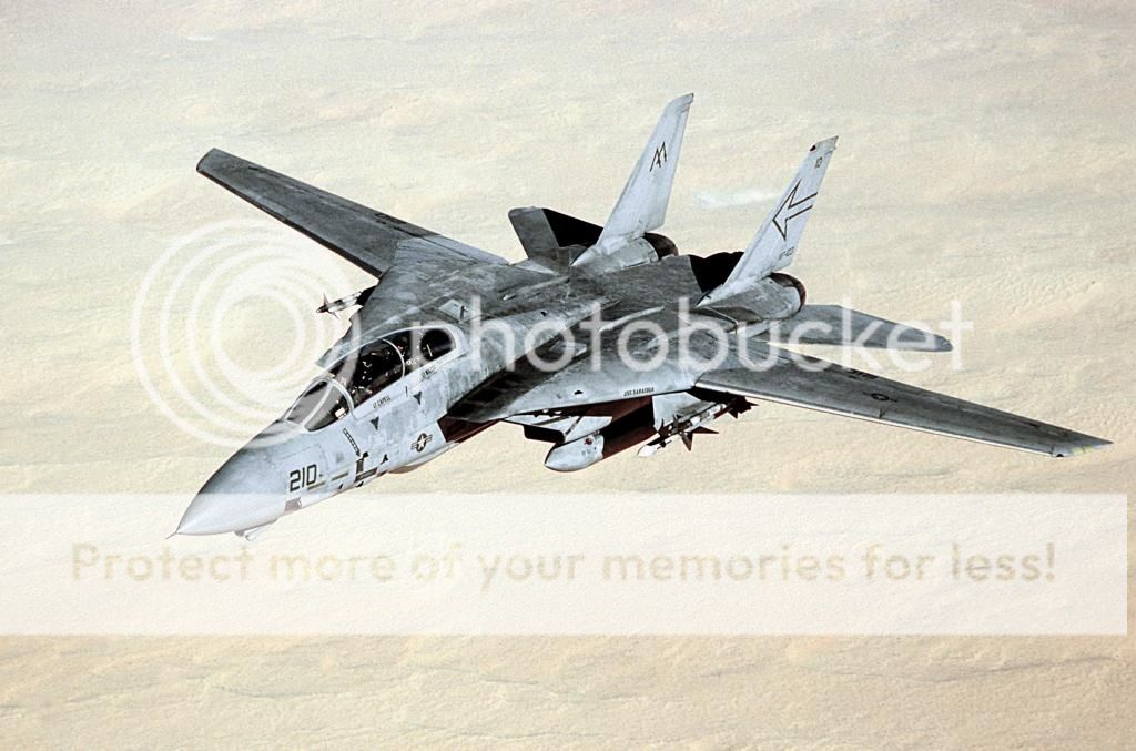 F&V: Grumman F-14 Tomcat - Página 5 F-14B_VF-103_in_flight_during_Gulf_War_1991