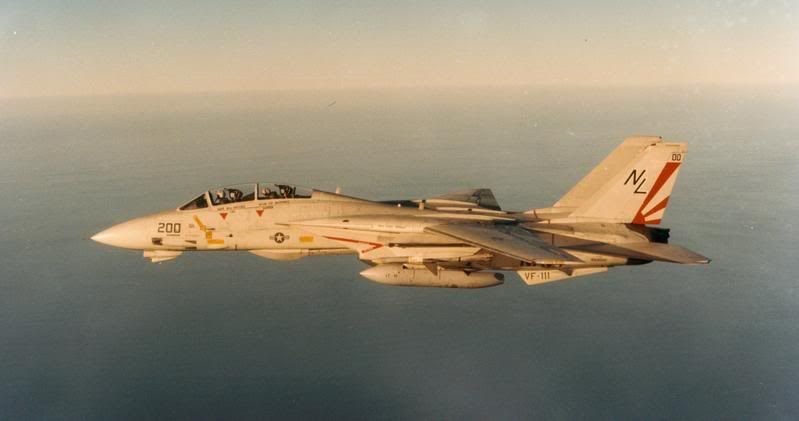 F&V: Grumman F-14 Tomcat - Página 6 CAGVF-11119861