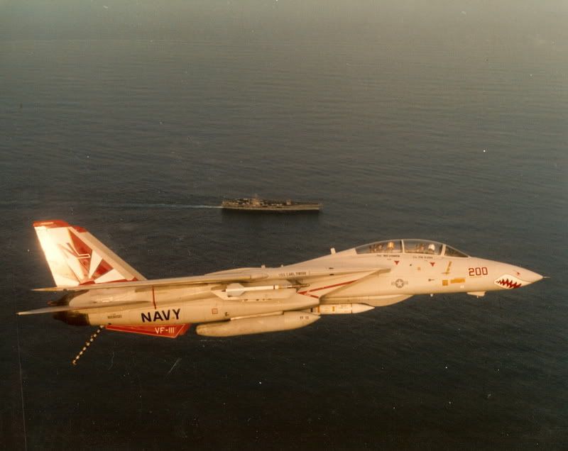 F&V: Grumman F-14 Tomcat - Página 6 Sundown200andCarlVinson