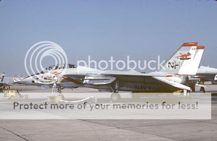 F&V: Grumman F-14 Tomcat - Página 6 1977g