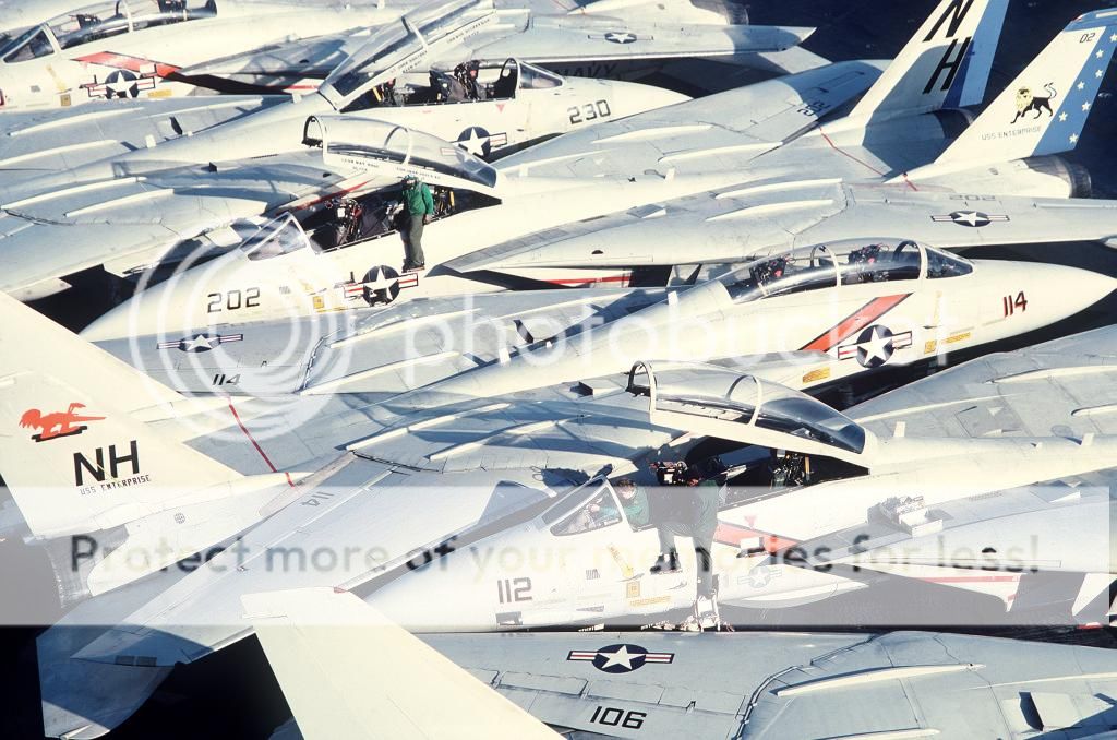 F&V: Grumman F-14 Tomcat - Página 6 1984a