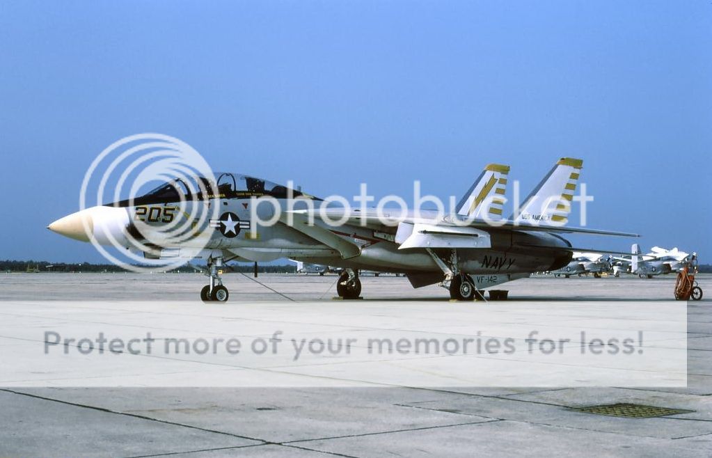 F&V: Grumman F-14 Tomcat - Página 8 197601