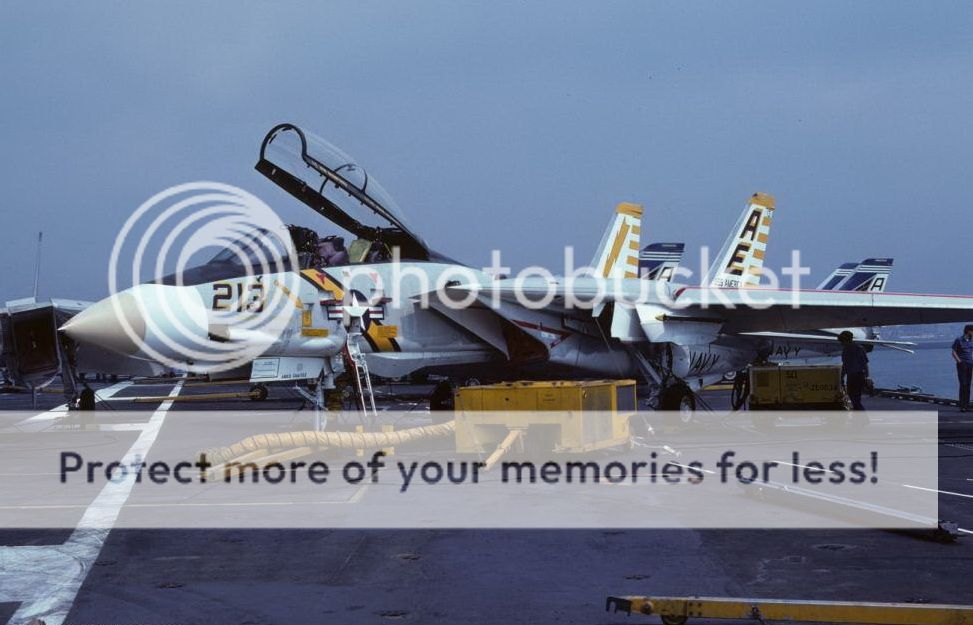 F&V: Grumman F-14 Tomcat - Página 8 1976agos