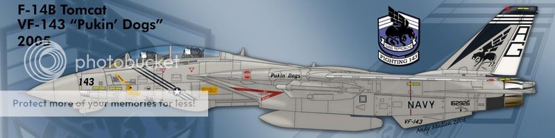 F&V: Grumman F-14 Tomcat - Página 8 11