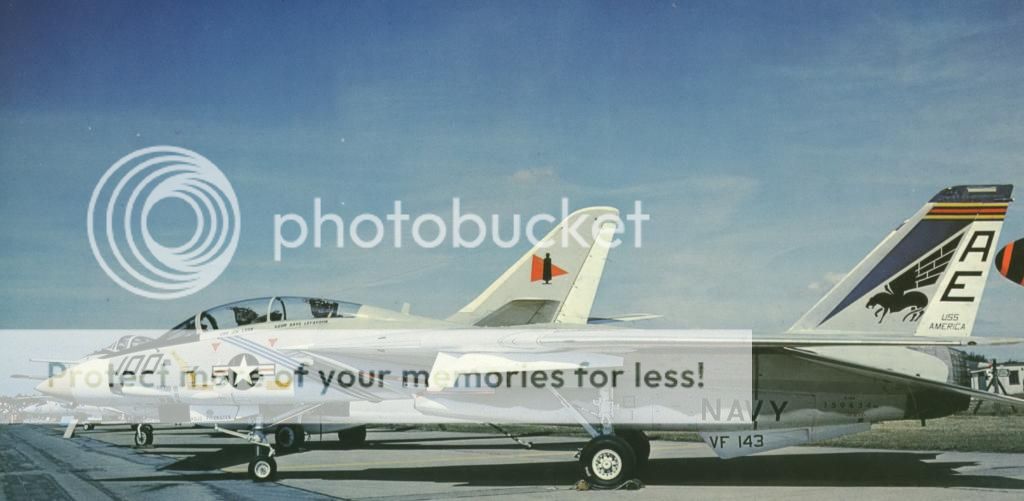 F&V: Grumman F-14 Tomcat - Página 8 1976a