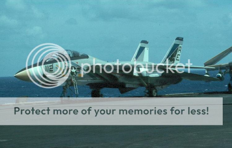 F&V: Grumman F-14 Tomcat - Página 8 1976f