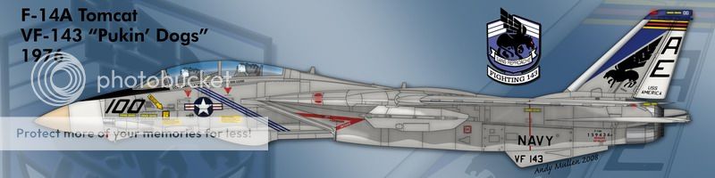 F&V: Grumman F-14 Tomcat - Página 8 2