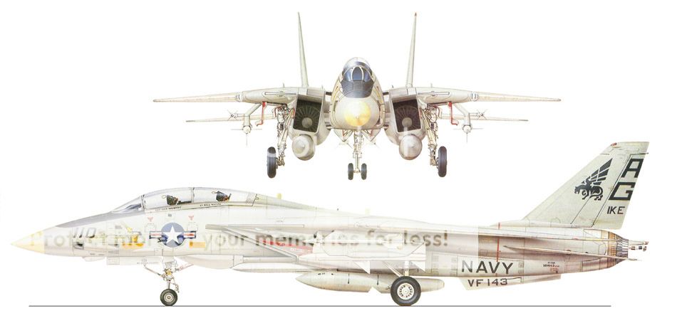 F&V: Grumman F-14 Tomcat - Página 8 2a