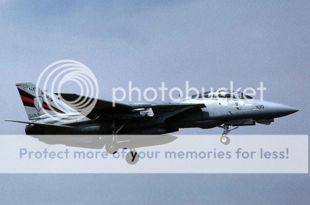 F&V: Grumman F-14 Tomcat - Página 9 19940