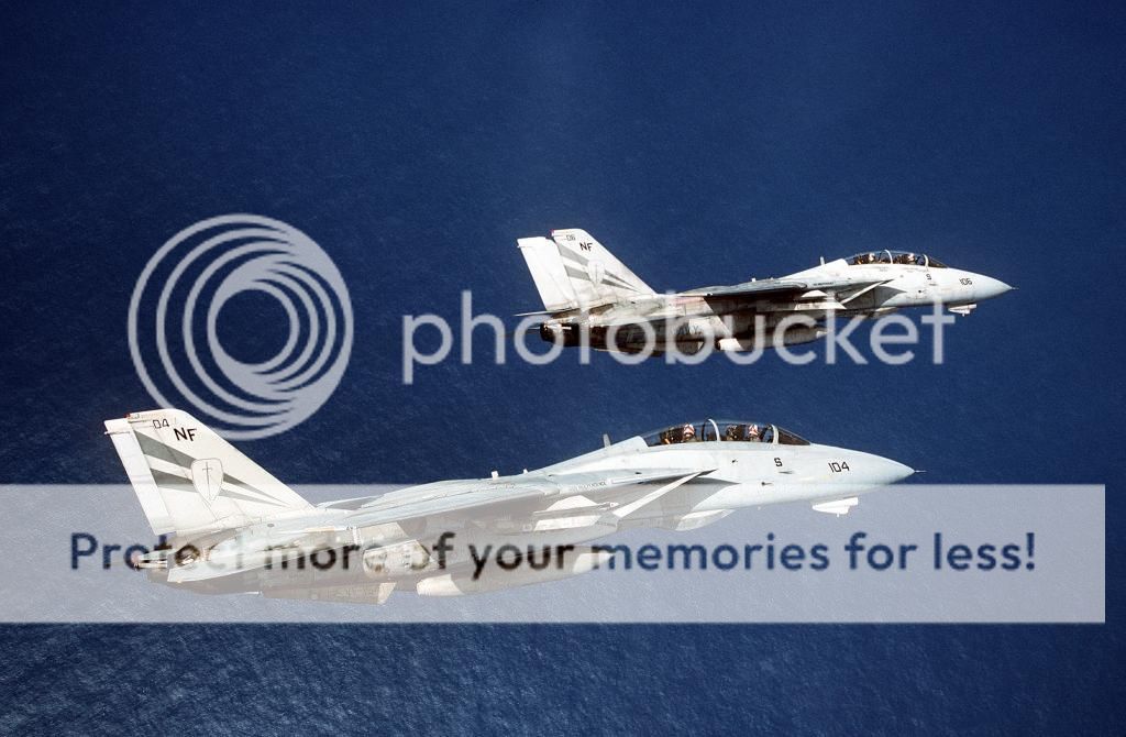 F&V: Grumman F-14 Tomcat - Página 9 19941