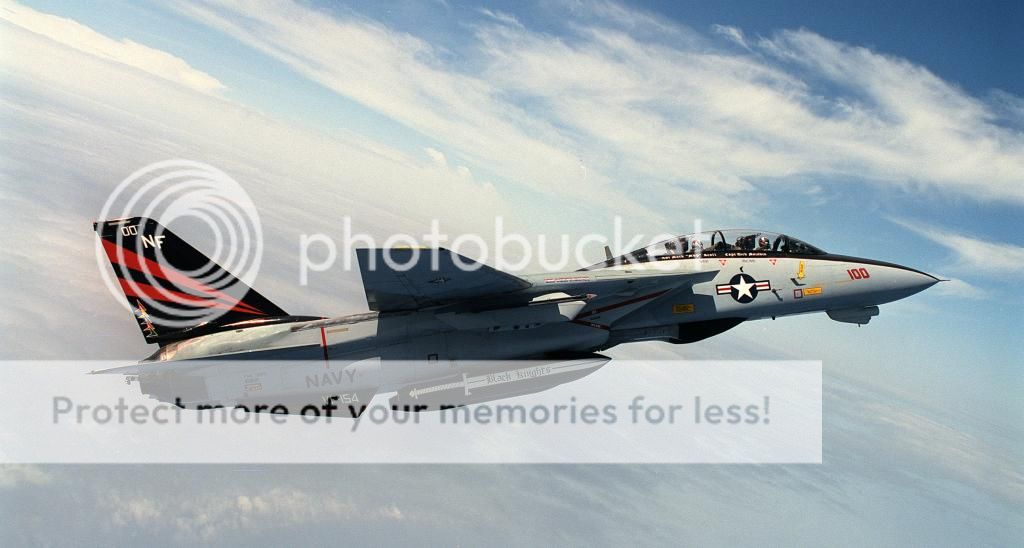 F&V: Grumman F-14 Tomcat - Página 9 19960