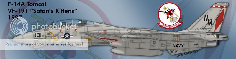 F&V: Grumman F-14 Tomcat - Página 10 1