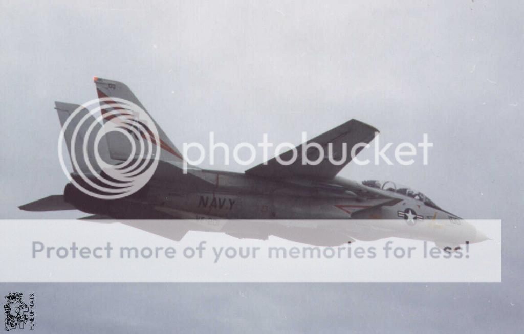 F&V: Grumman F-14 Tomcat - Página 11 1995c