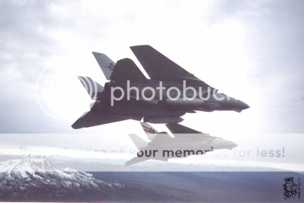 F&V: Grumman F-14 Tomcat - Página 11 1995d