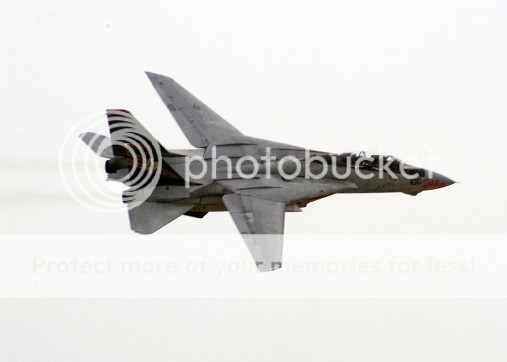 F&V: Grumman F-14 Tomcat - Página 11 1998j