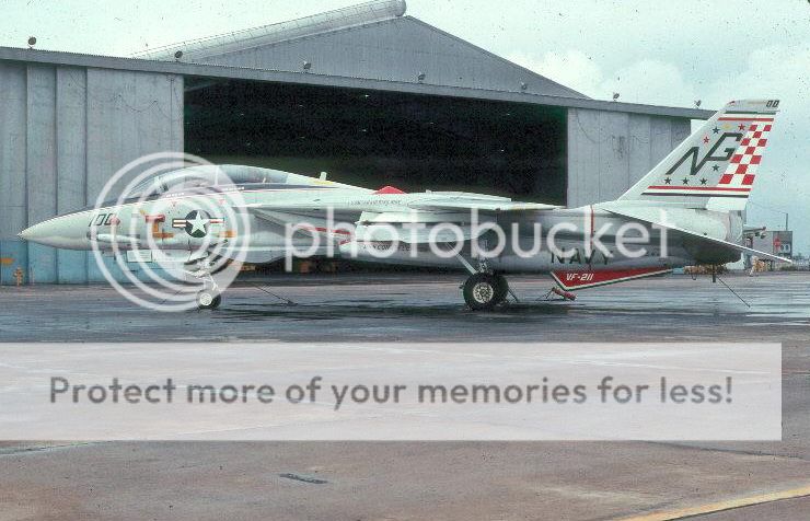 F&V: Grumman F-14 Tomcat - Página 12 1976