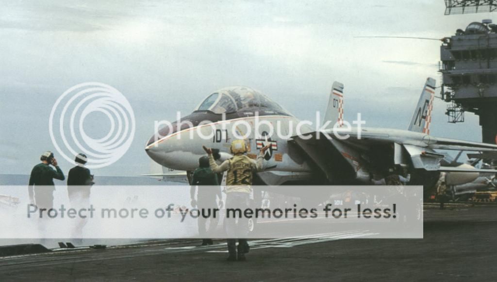 F&V: Grumman F-14 Tomcat - Página 12 1976e