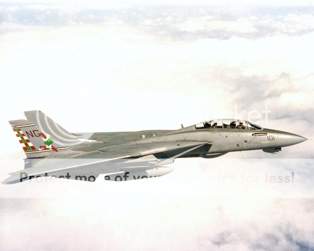 F&V: Grumman F-14 Tomcat - Página 12 1995diciembre