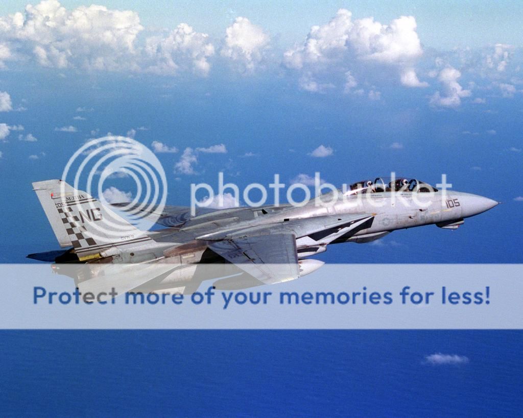 F&V: Grumman F-14 Tomcat - Página 12 2002mayoa