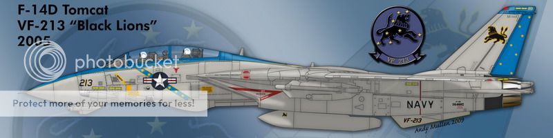 F&V: Grumman F-14 Tomcat - Página 12 10