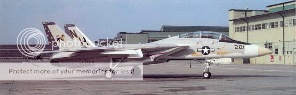 F&V: Grumman F-14 Tomcat - Página 12 1976a