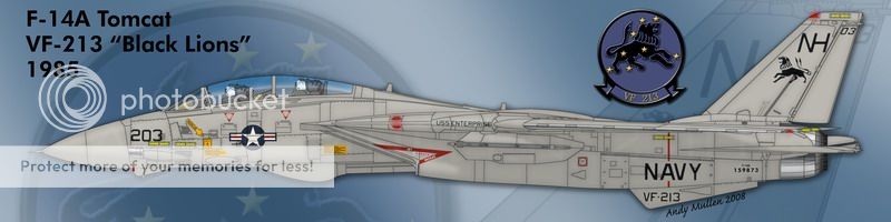 F&V: Grumman F-14 Tomcat - Página 12 3