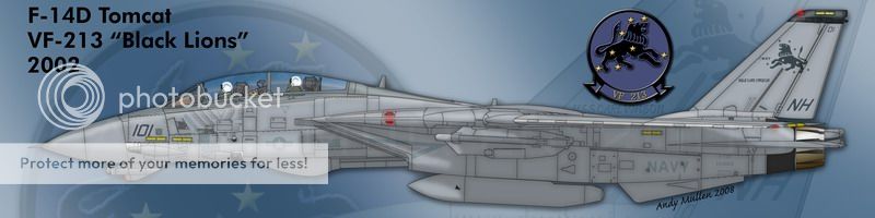 F&V: Grumman F-14 Tomcat - Página 12 6