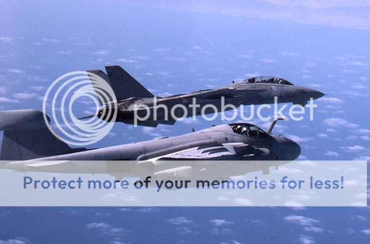 F&V: Grumman F-14 Tomcat - Página 13 1985