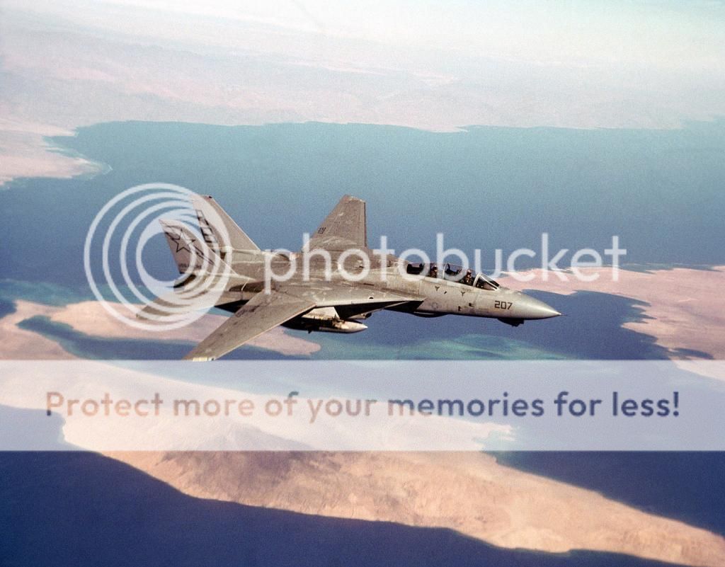 F&V: Grumman F-14 Tomcat - Página 4 1280px-F-14A_VF-33_Desert_Storm_CAP_1991