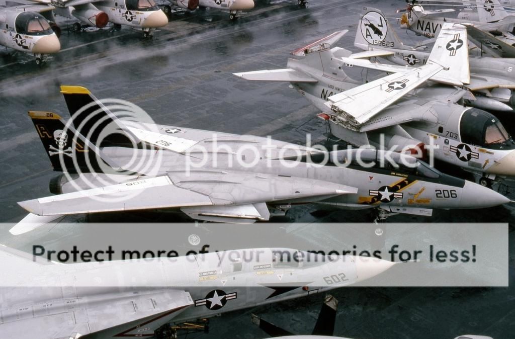 F&V: Grumman F-14 Tomcat - Página 5 16039727July1978