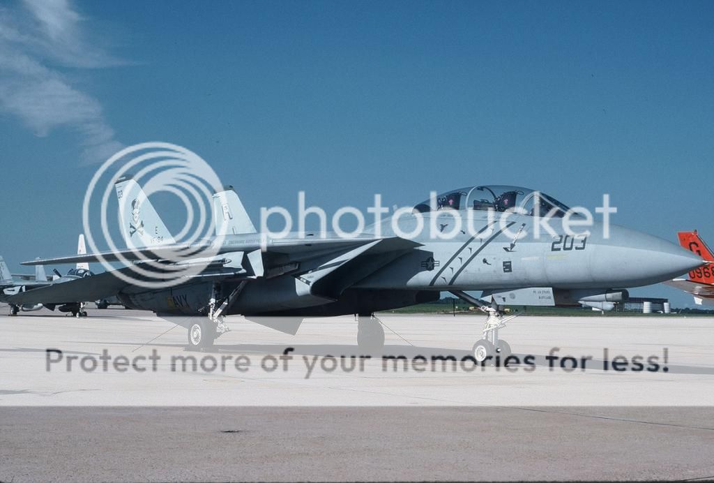 F&V: Grumman F-14 Tomcat - Página 5 Gallery_88_6_24901