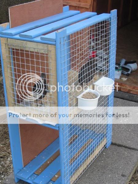 Breeding Cages Quail309