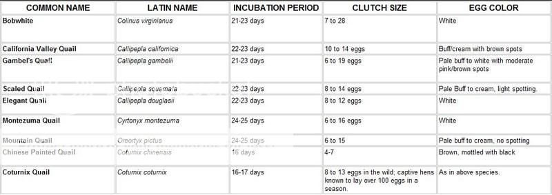 Quail Incubation Chart IncubationChart