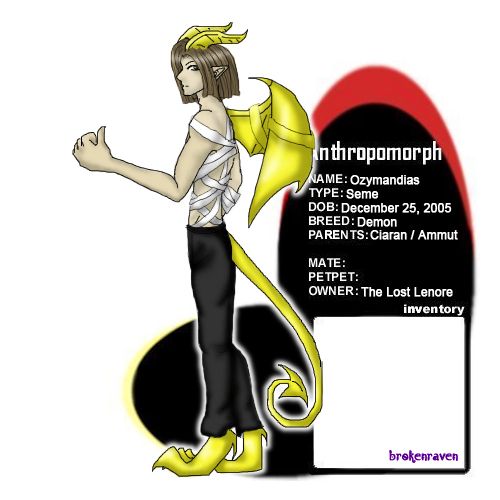 User Image