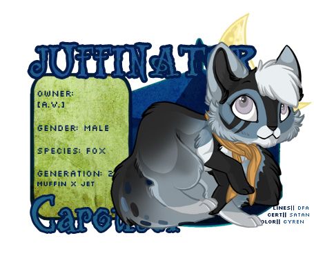 User Image