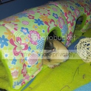 IMG_20131101_145946_zpsaf1f367a.jpg