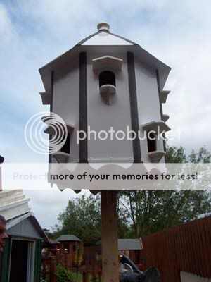 My Dad's Hobby! Dovecote2