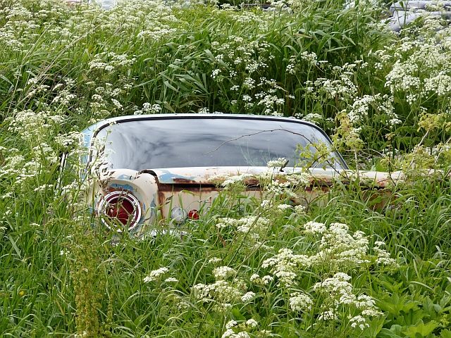 -%20fordP1070911_zpsidkv56qg.jpg