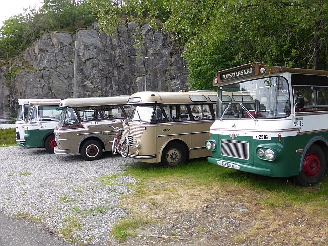 busP1080924_zpsudedd2pu.jpg