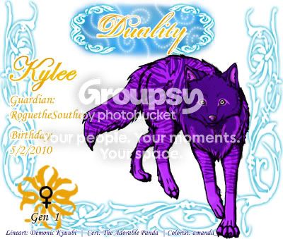 User Image