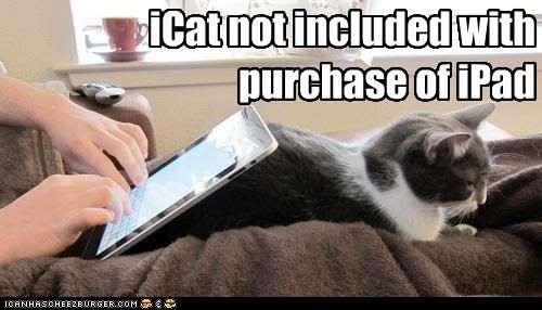 Funny Pics 129167966656355850