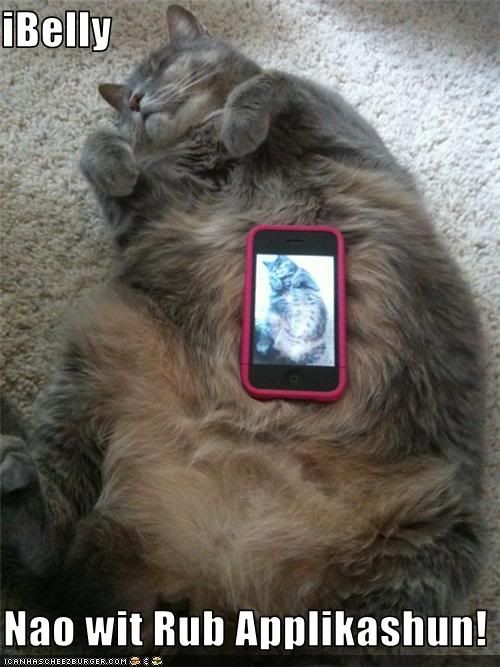 Funny Pics 38e6337b-c91b-4103-ae0b-09810ca29451