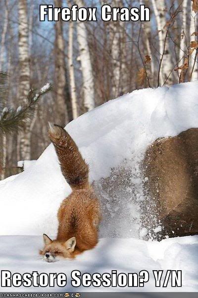 Funny Pics Firefoxcrash