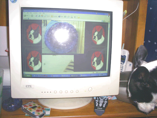 Image hosting by Photobucket
