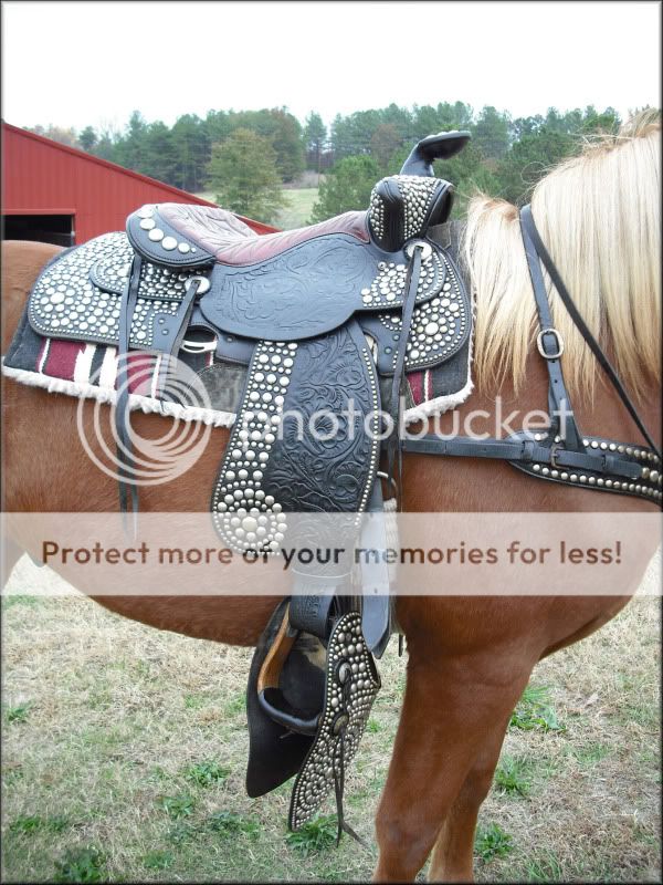 Genuine Bona Allen Parade Saddle Buford GA Made