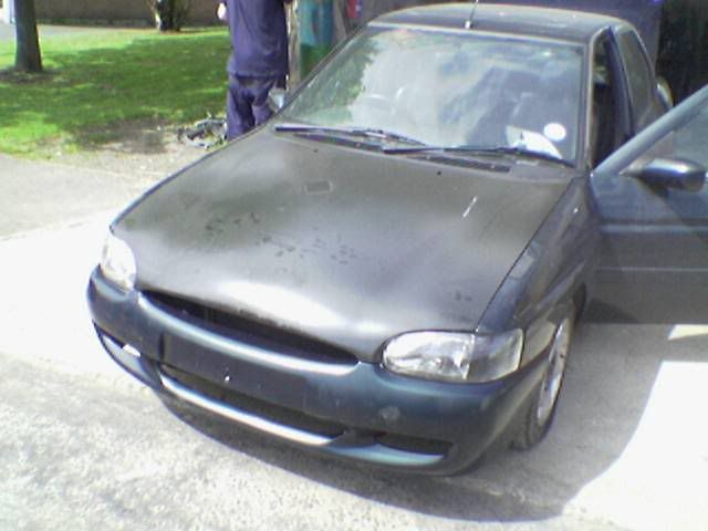 Image113.jpg