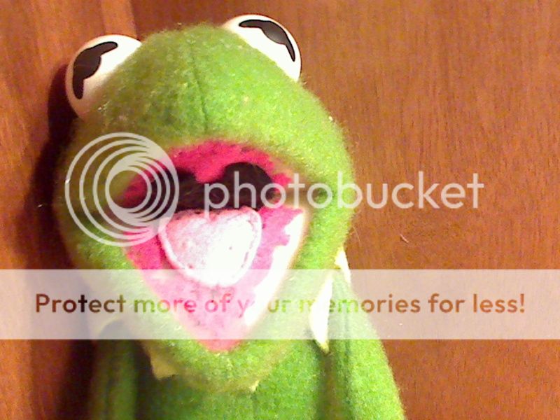 1976 Jim Henson   Kermit The Frog   Muppets   Poseable  